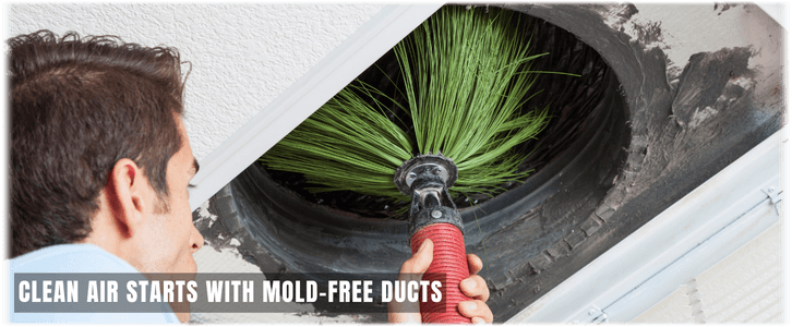 Air Duct Mold Removal in Harvard IL